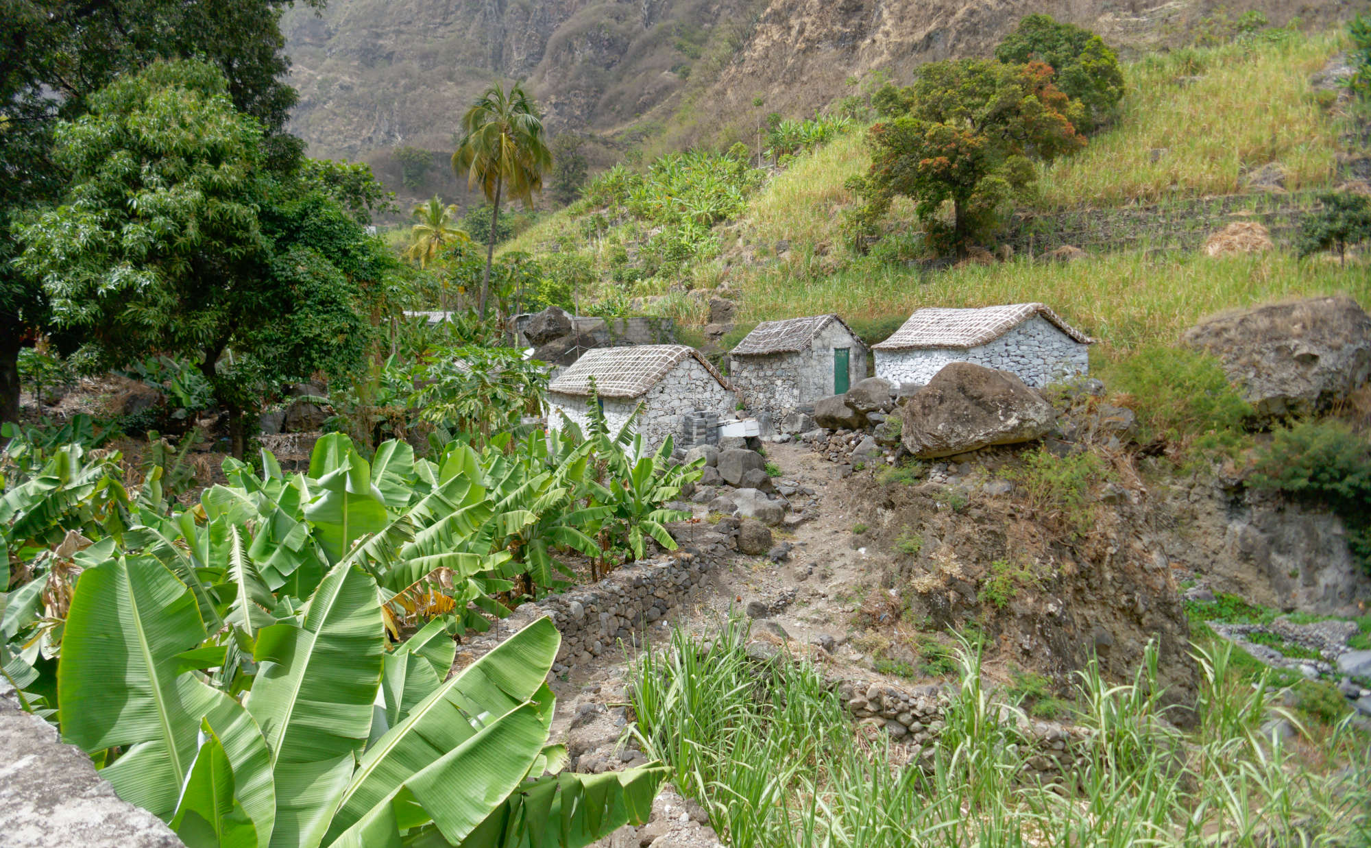 Cap-Vert-2025-P1060838PYA