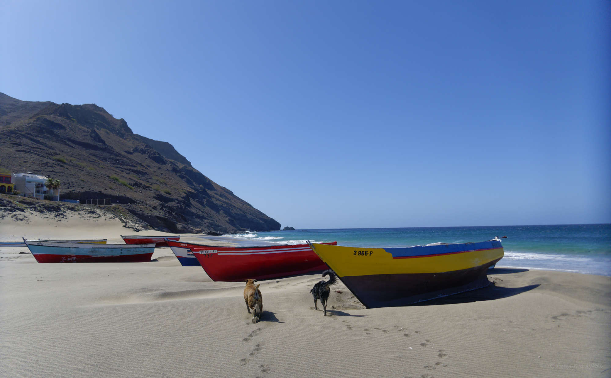 Cap-Vert-2025-1050827PYA