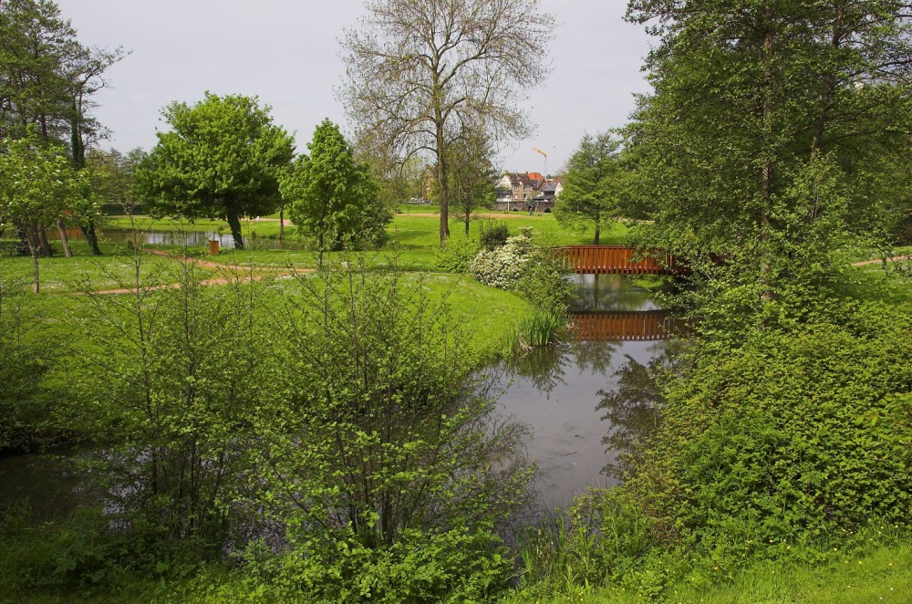 CESSON-SEVIGNE : Les ponts en bois - image 04