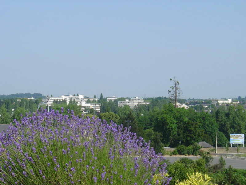 CESSON-SEVIGNE : Vue depuis l'hypermarché - image26