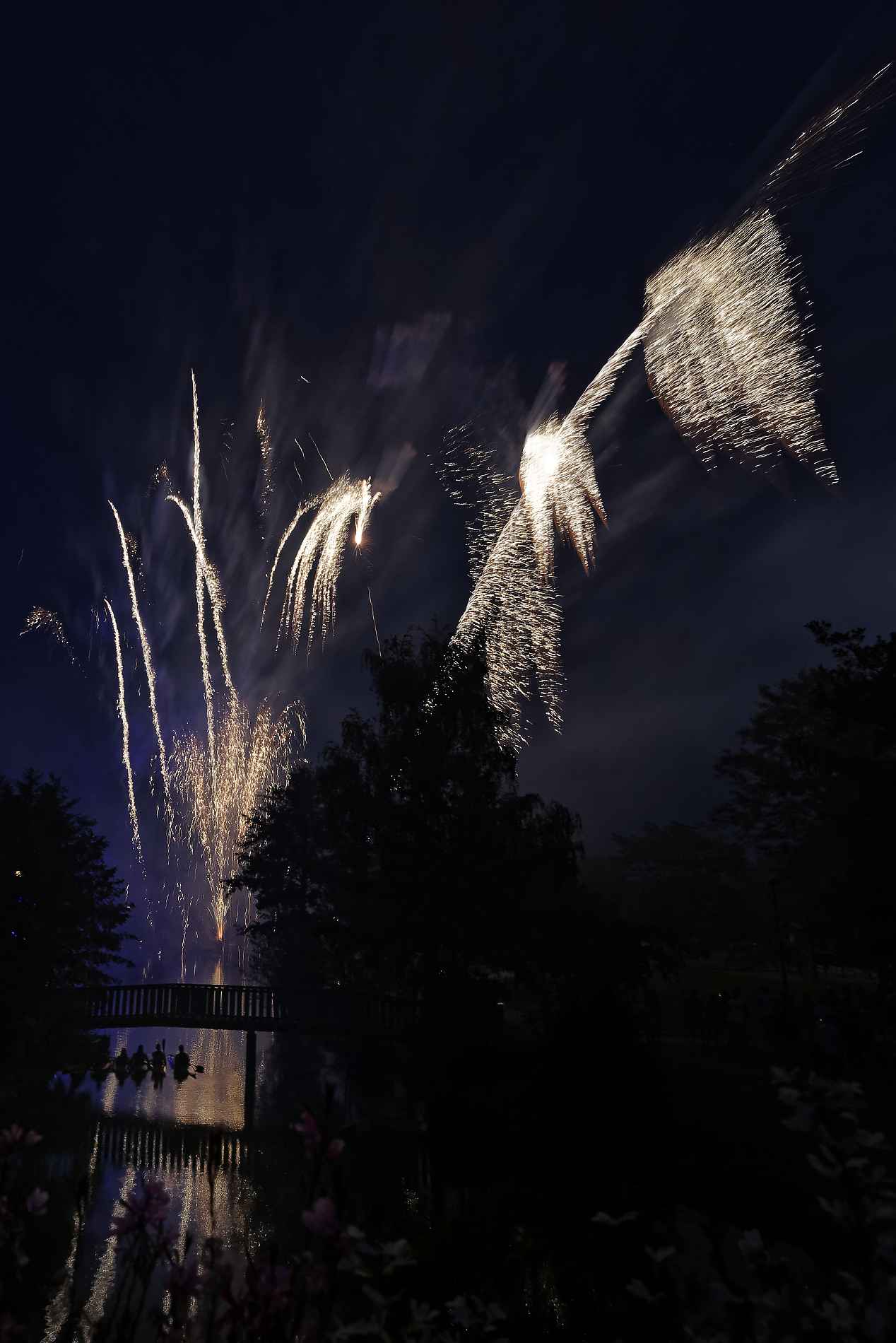 CESSON-SEVIGNE : Fête de l'été 2018-35126 PYA