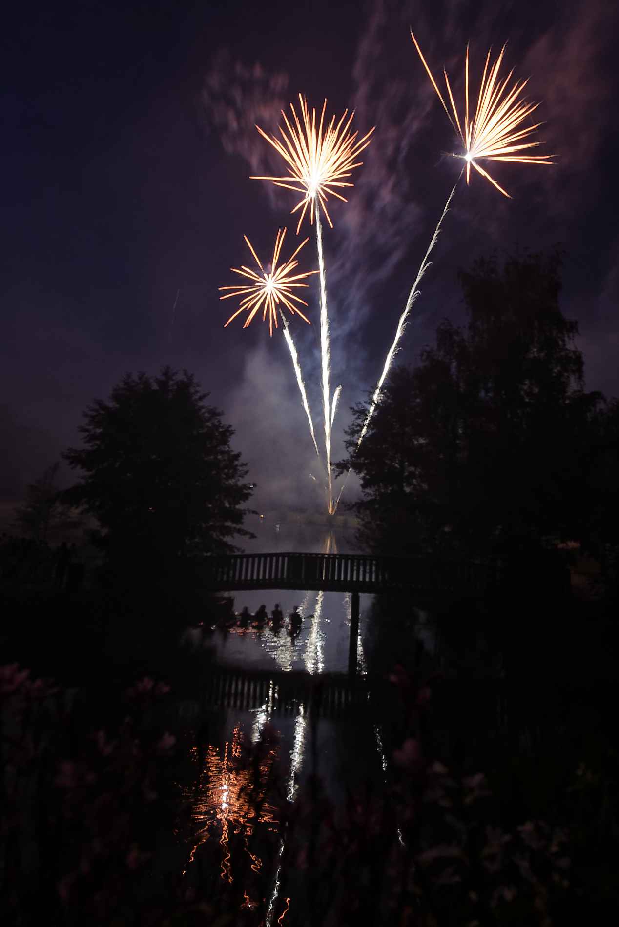 CESSON-SEVIGNE : Fête de l'été 2018-35134 PYA