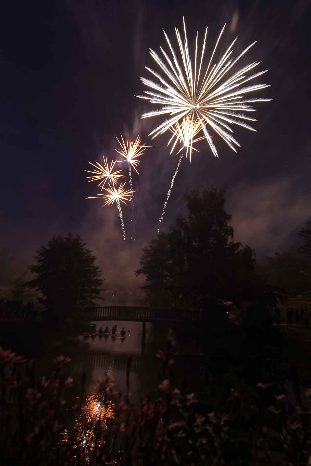 CESSON-SEVIGNE : Fête de l'été 2018-35136 PYA