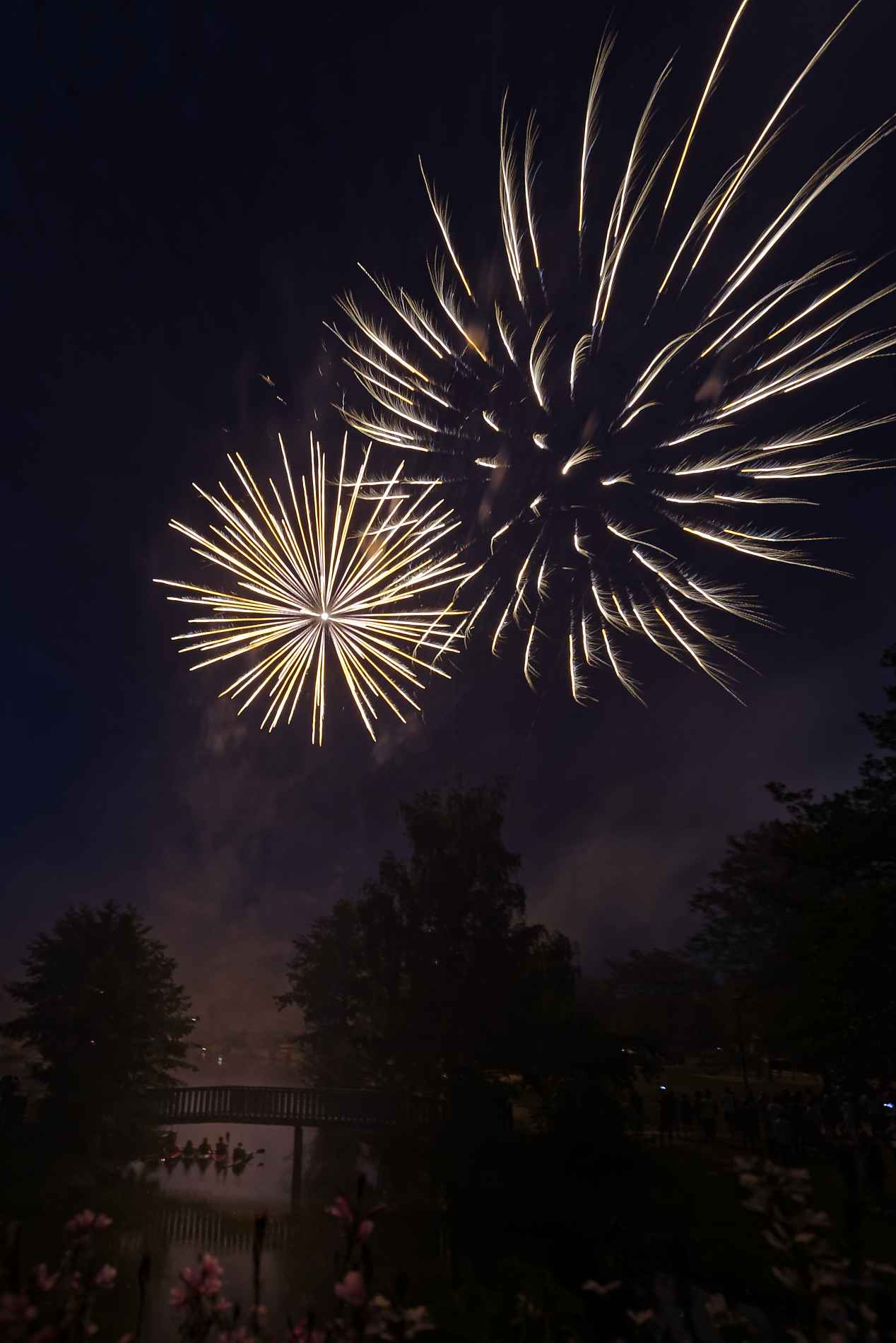 CESSON-SEVIGNE : Fête de l'été 2018-35137 PYA