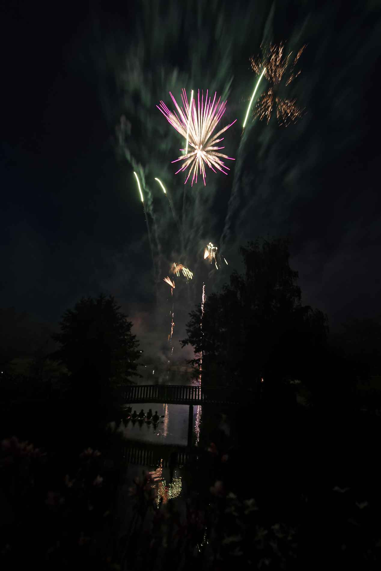 CESSON-SEVIGNE : Fête de l'été 2018-35148 PYA