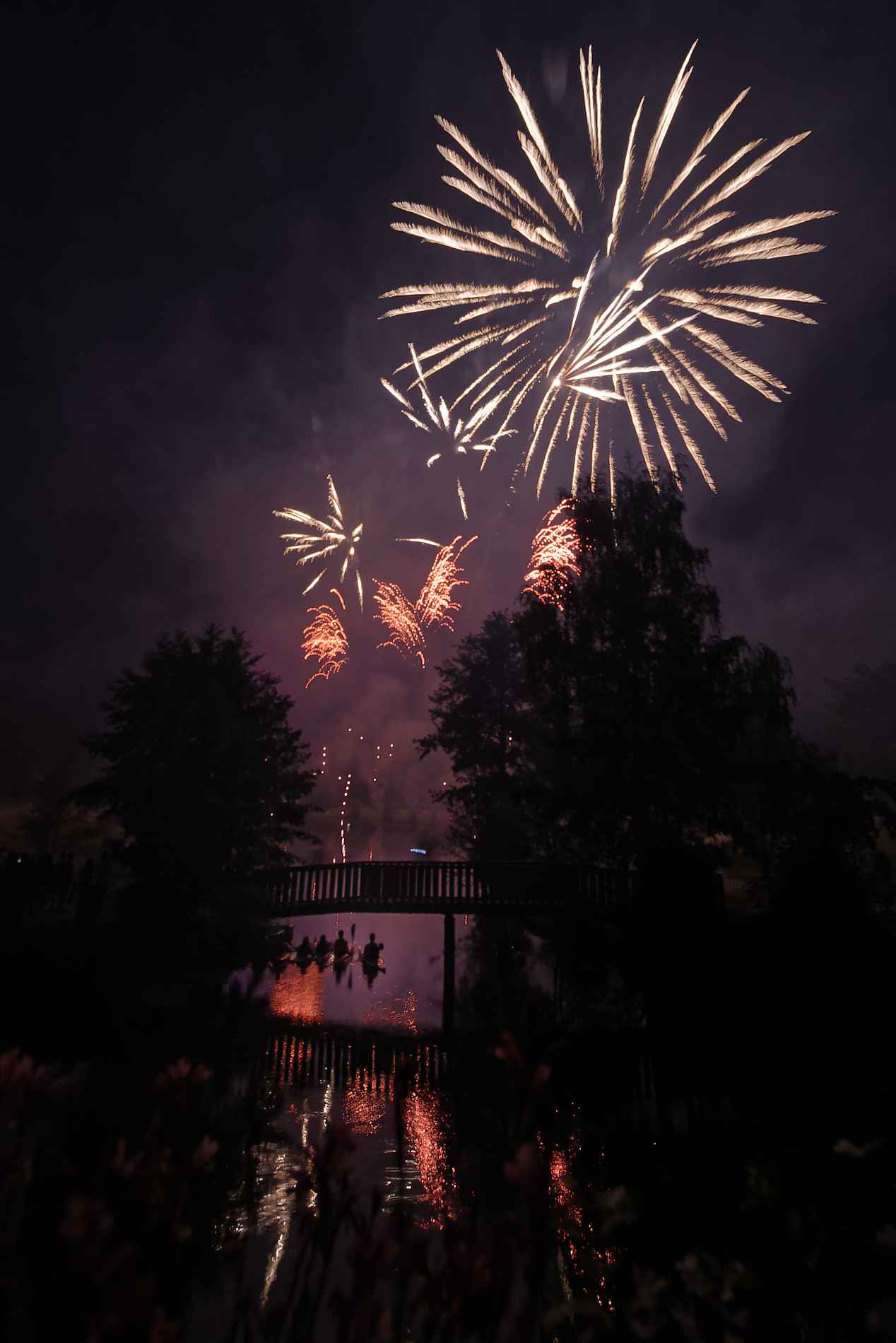 CESSON-SEVIGNE : Fête de l'été 2018-35174 PYA