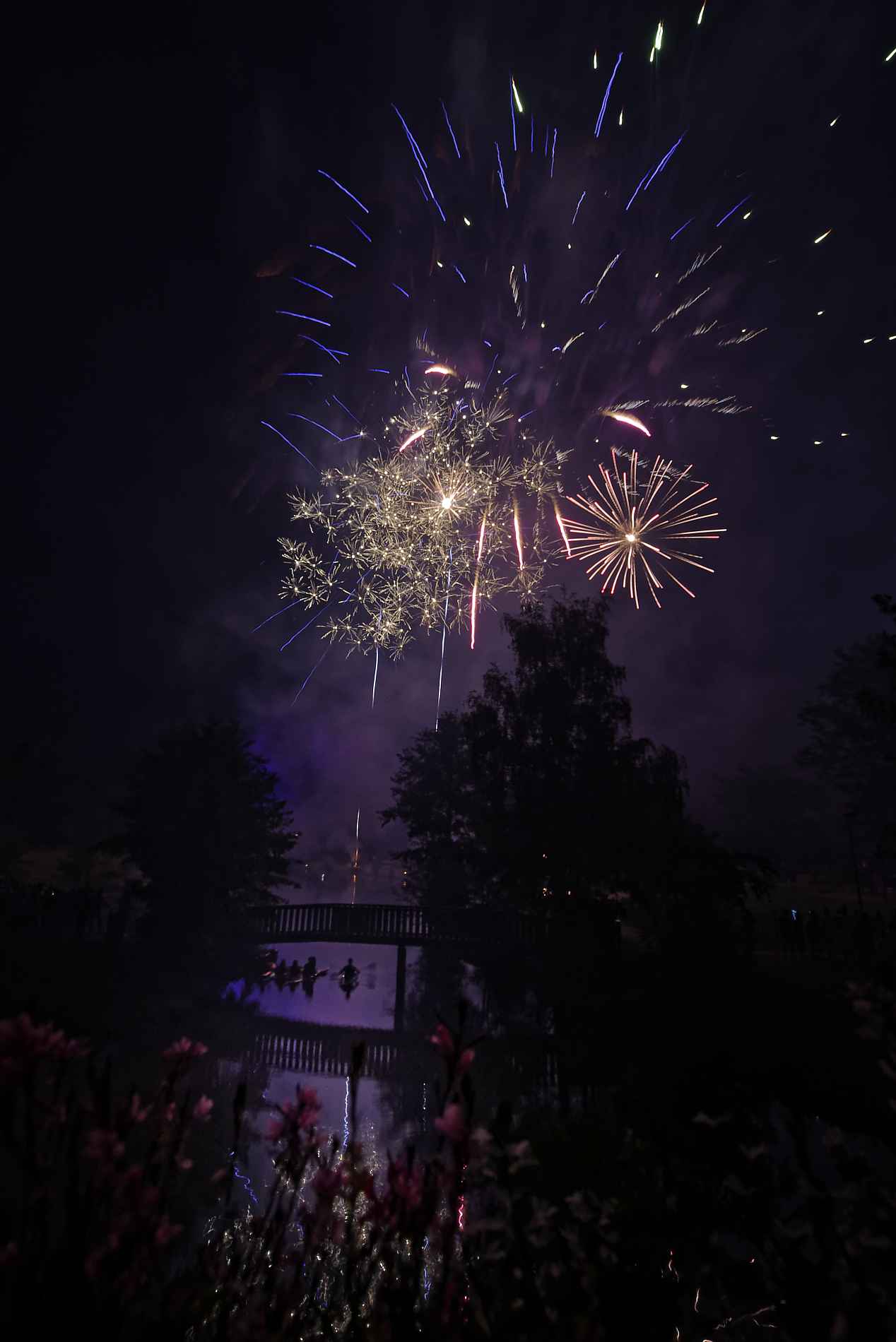 CESSON-SEVIGNE : Fête de l'été 2018-35206 PYA