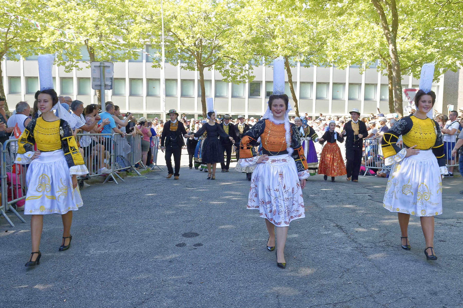 interceltique-2018-image12847-cercle-ar-vro-vigoudenn-de-pont-l-abbé