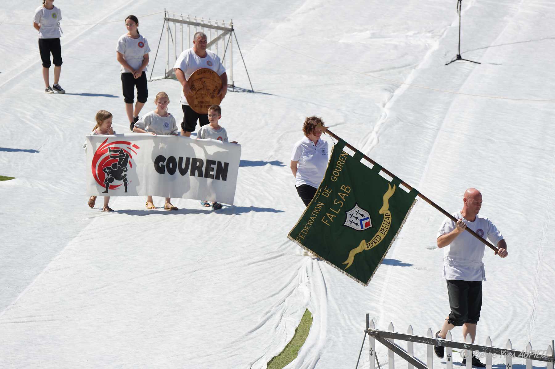 D423848-Luttes celtiques