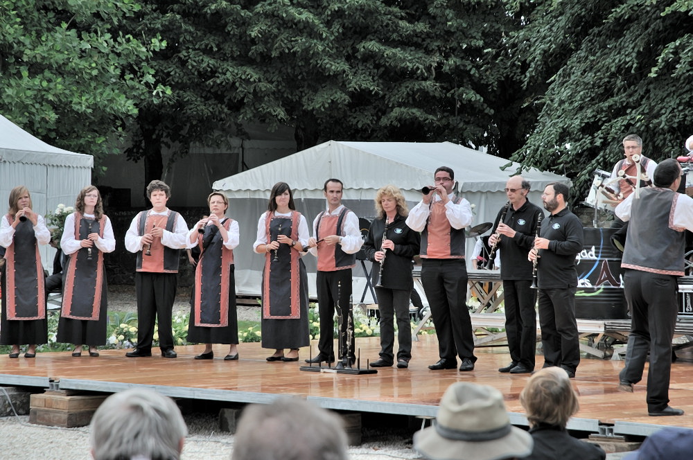  PYA3715 interceltique 2010