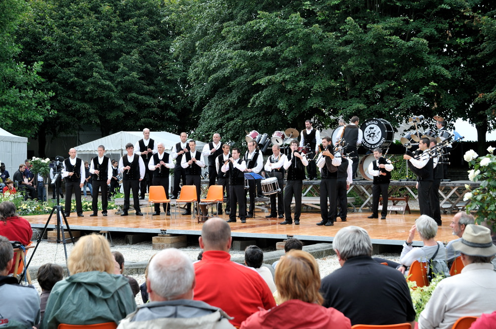  PYA3717 interceltique 2010