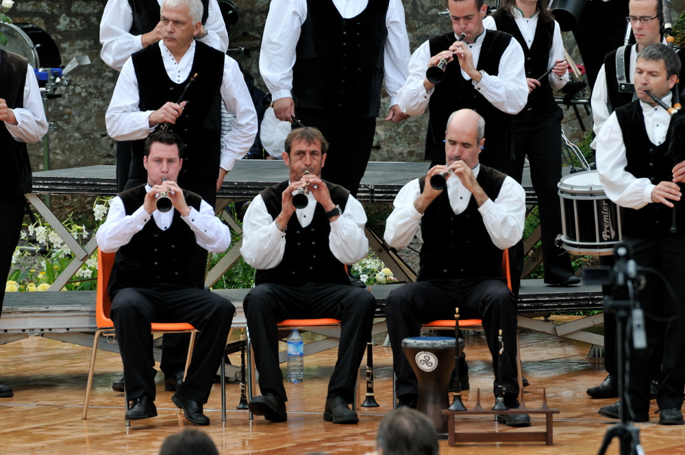  PYA3724 interceltique 2010