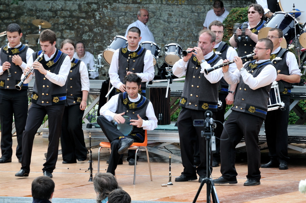  PYA3758 interceltique 2010