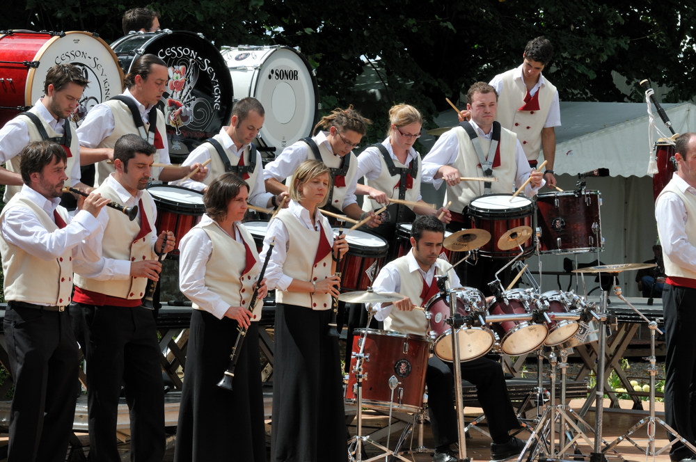  PYA3841 interceltique 2010