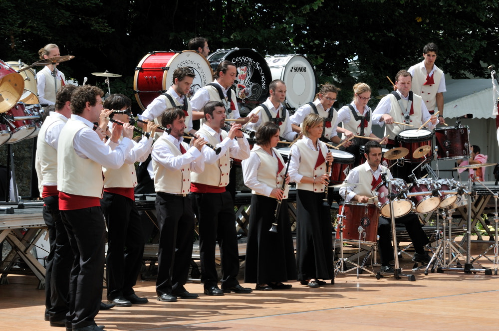  PYA3842 interceltique 2010
