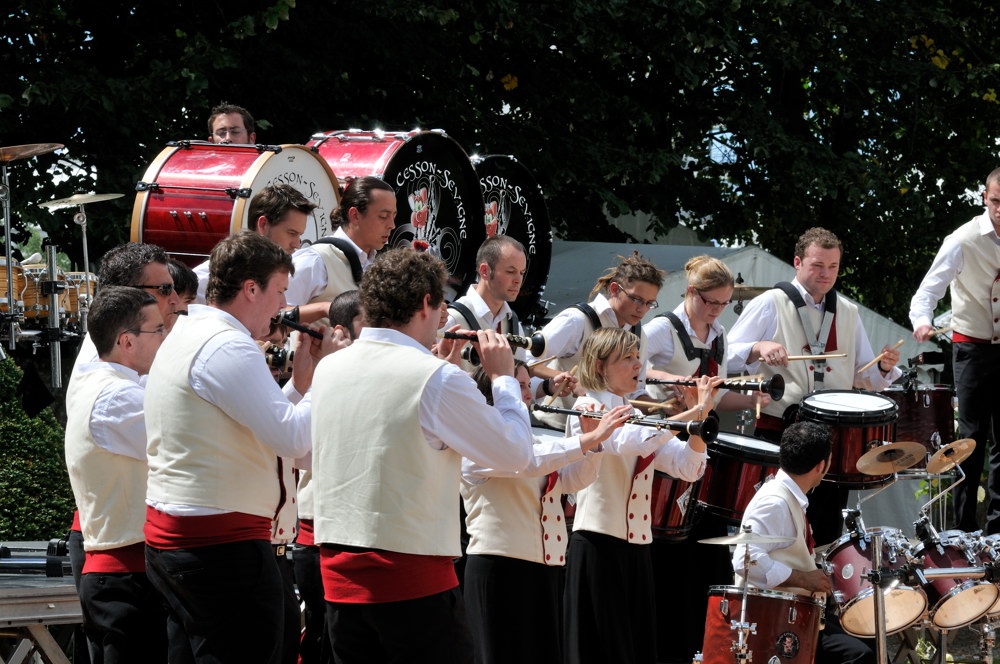  PYA3855 interceltique 2010