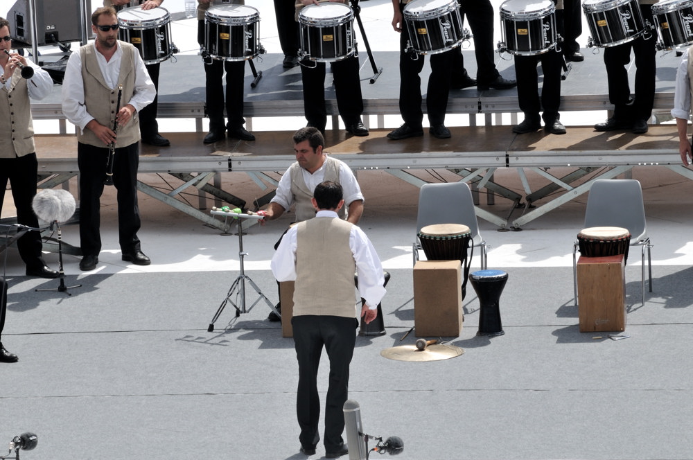  PYA3932 interceltique 2010