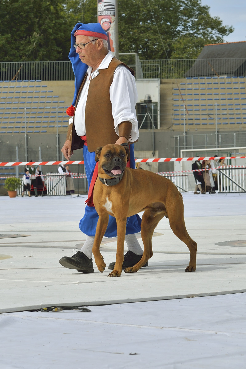 interceltique-2014-Quic-en-Groigne 22