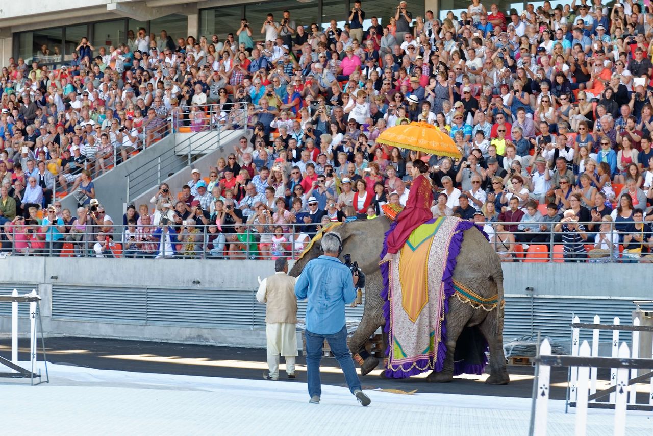 interceltique-2016-PA20114