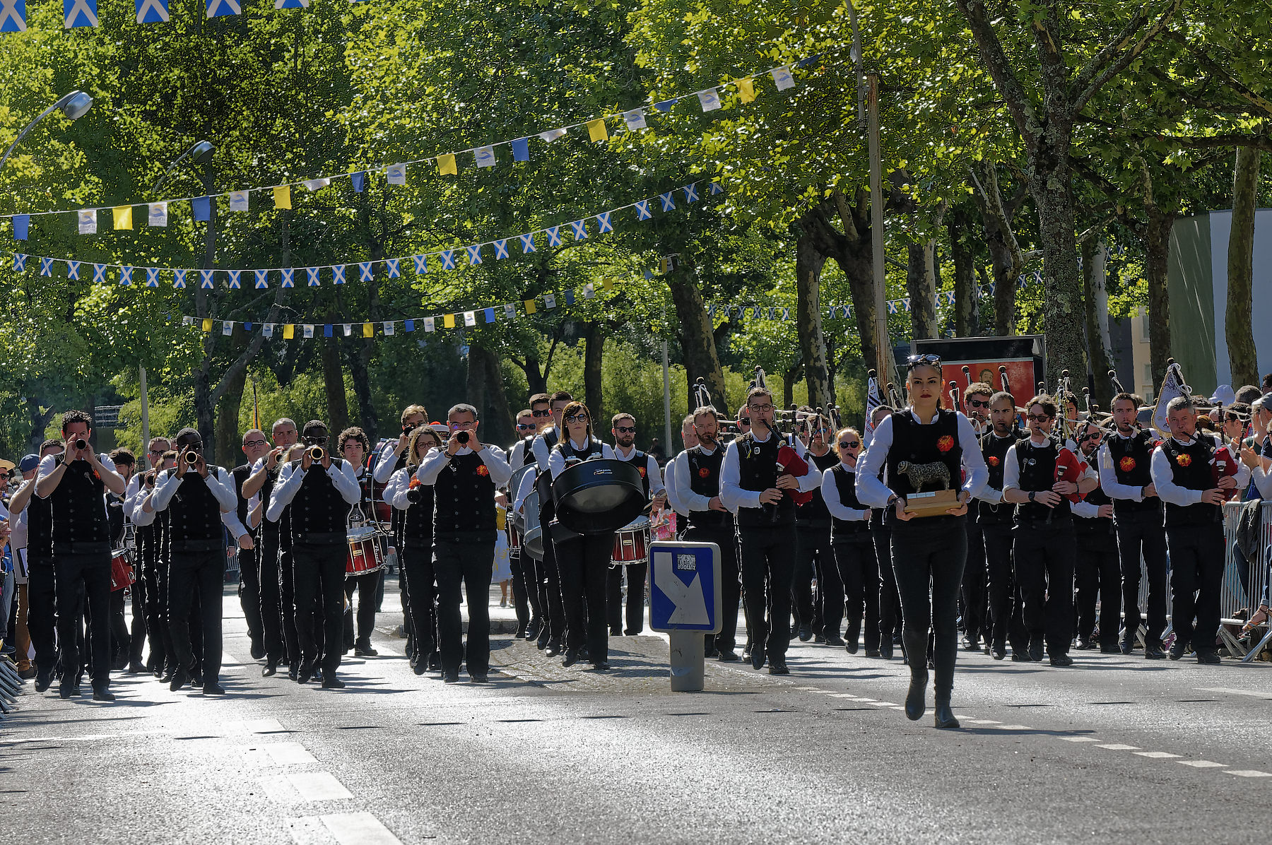 interceltique-de-Lorient-2017-PY4608