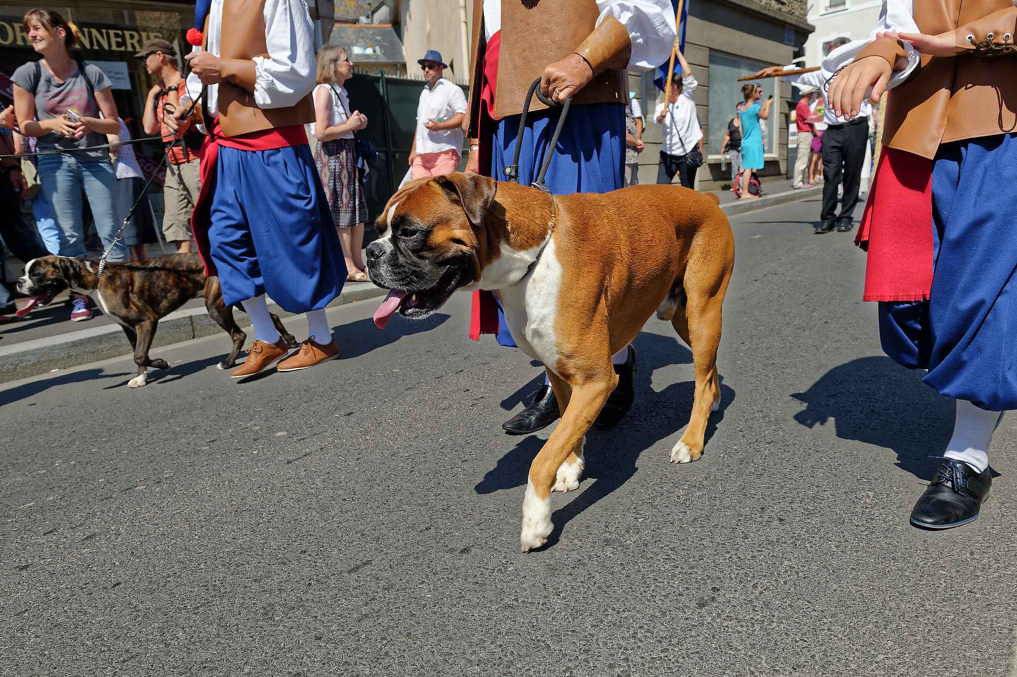 Folklores du monde 2018 D4S08865 PYA