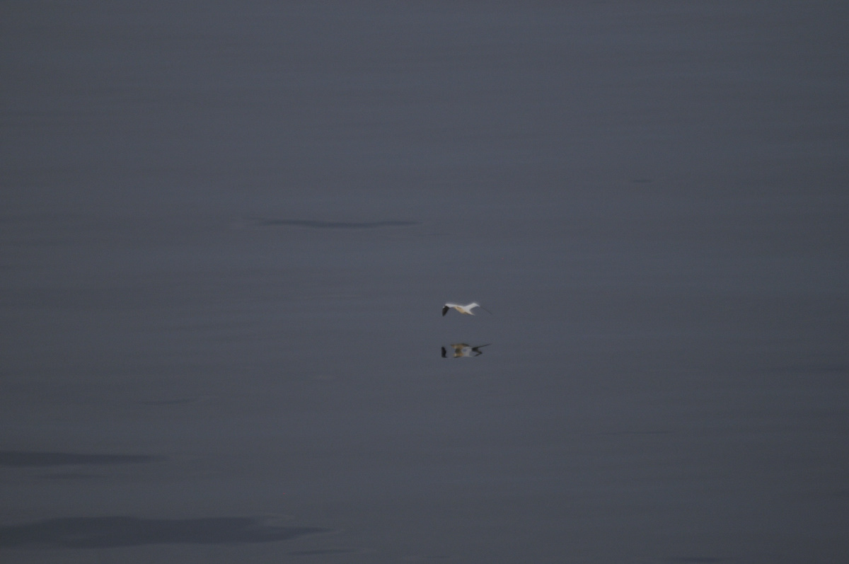 ETE-2013-En-Mer-13536