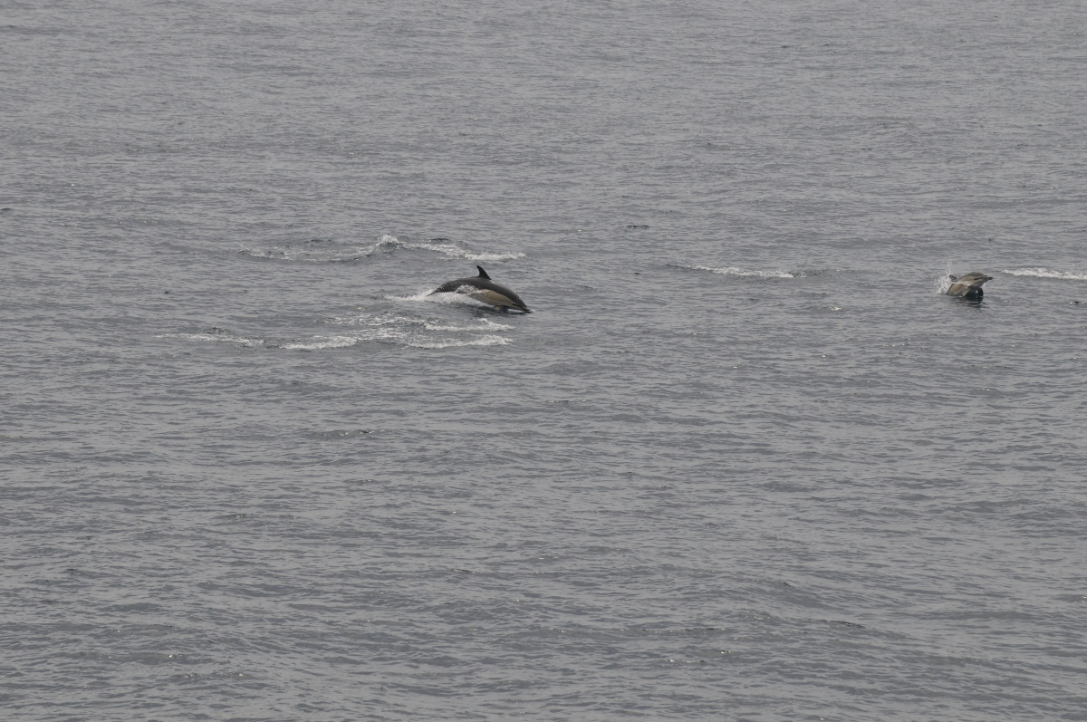 ETE-2013-En-Mer-14518