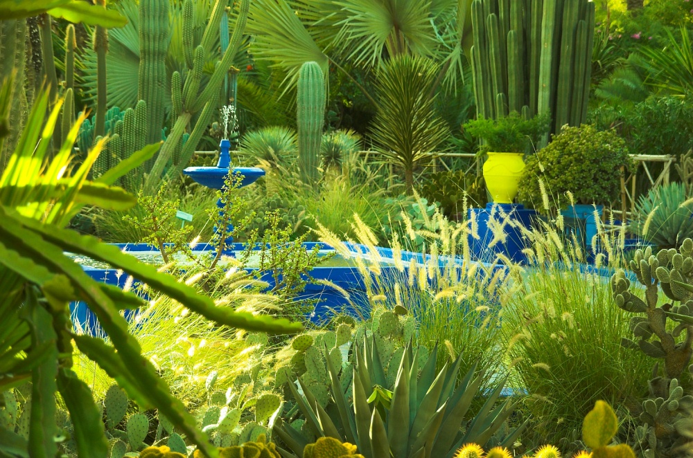Majorelle 09C