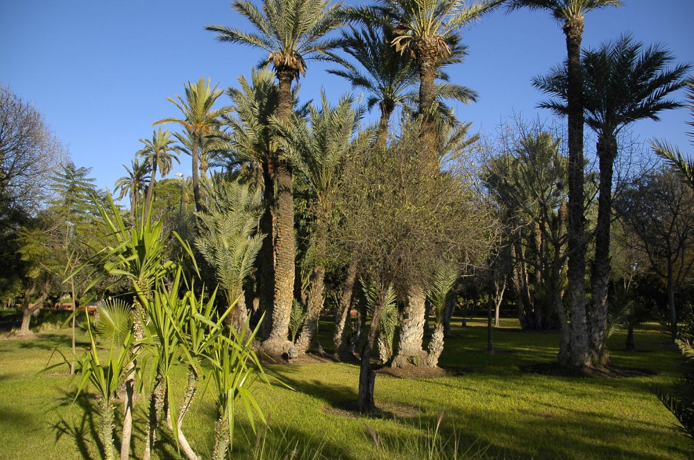 Marrakech 01C