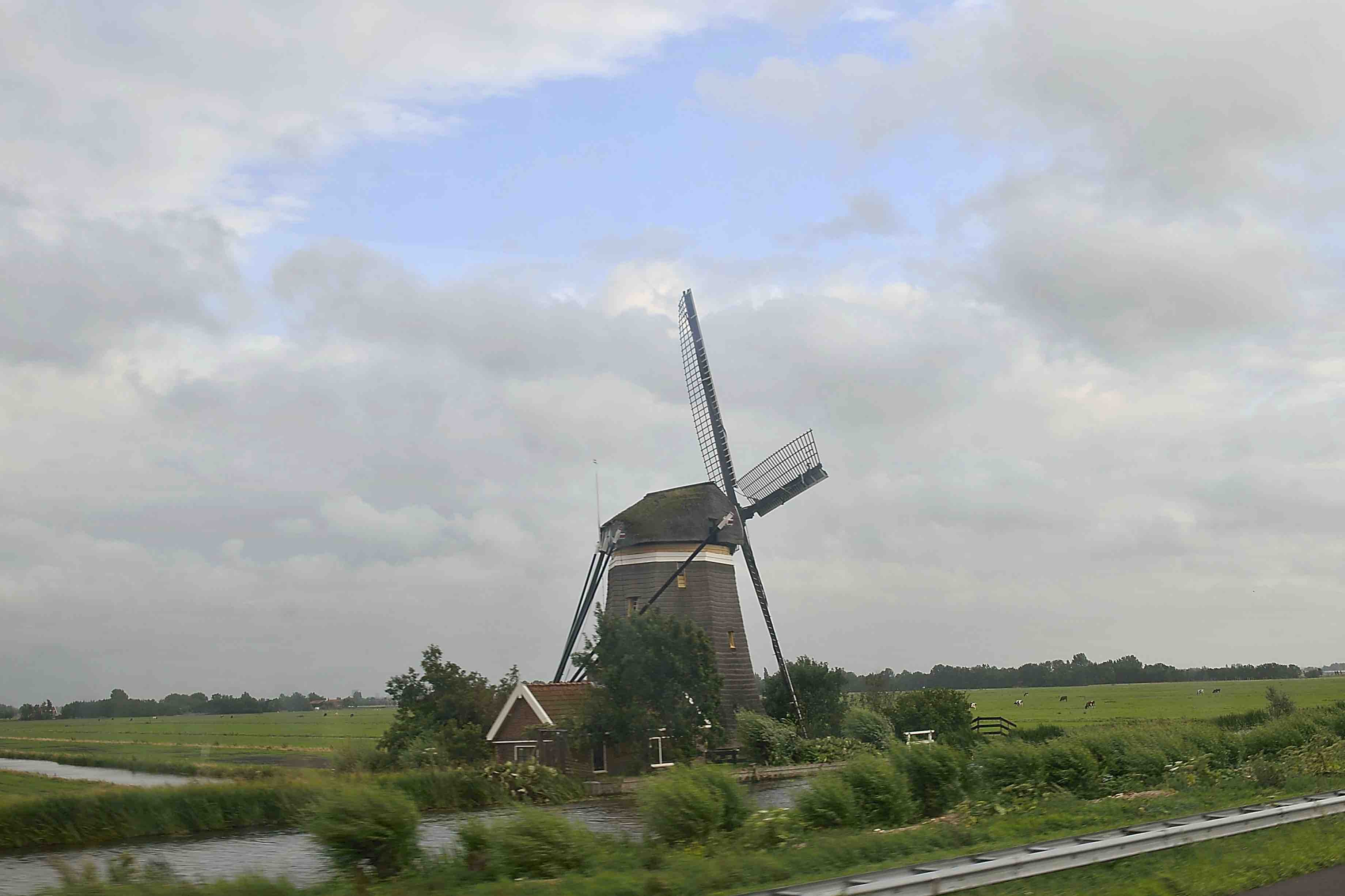 Pays-Bas-Juillet-2015-10669