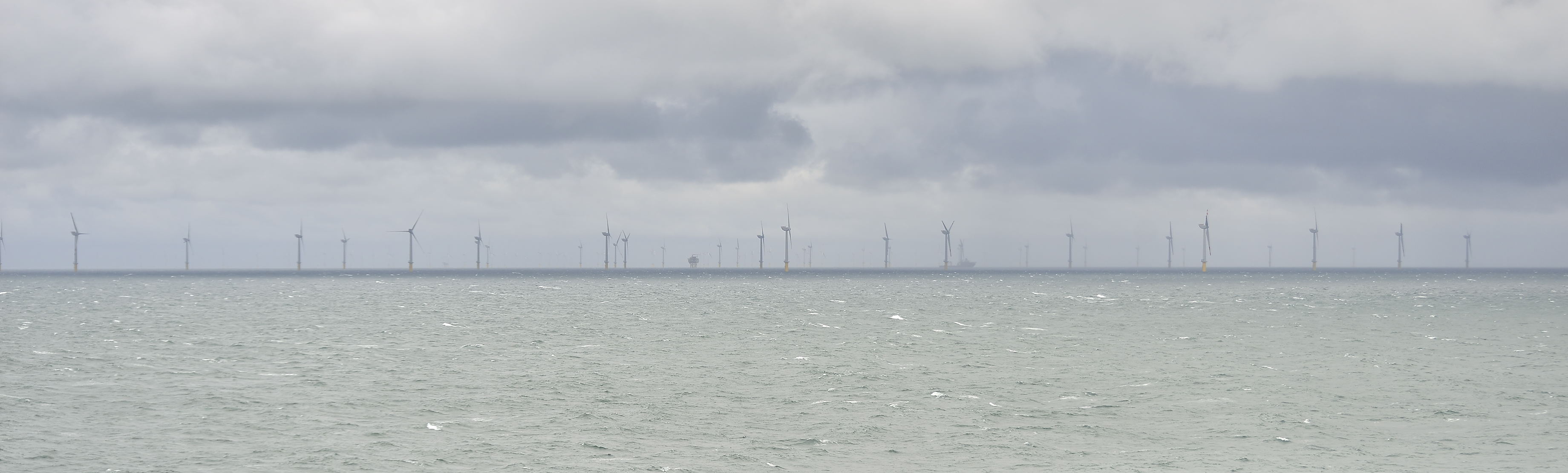 Pays-Bas-Juillet-2015-10779