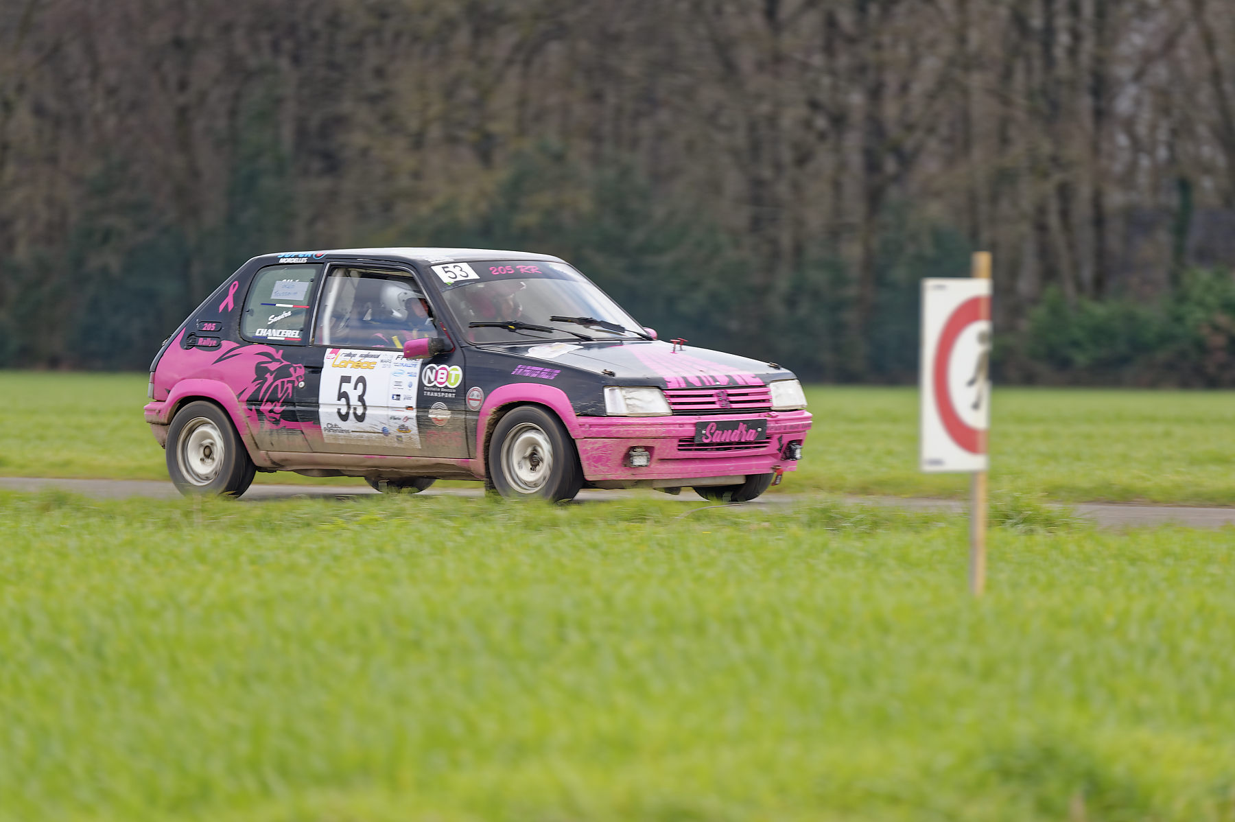 Rallye-Lohéac-2018-CHANCEREL-SANDRA-D4S4301