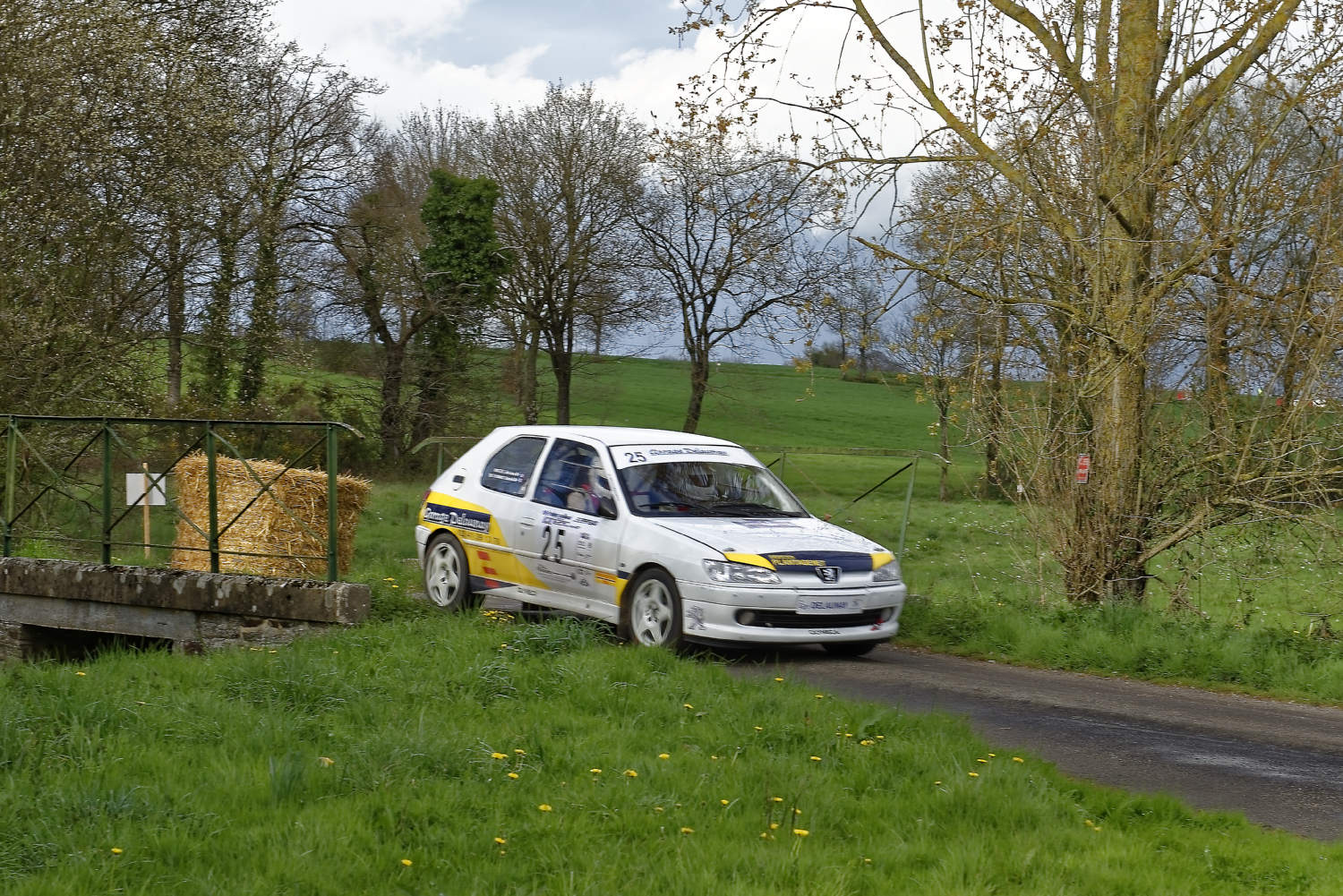 Rallye Lohéac 2017 PYA26206 DELAUNAY DANIEL