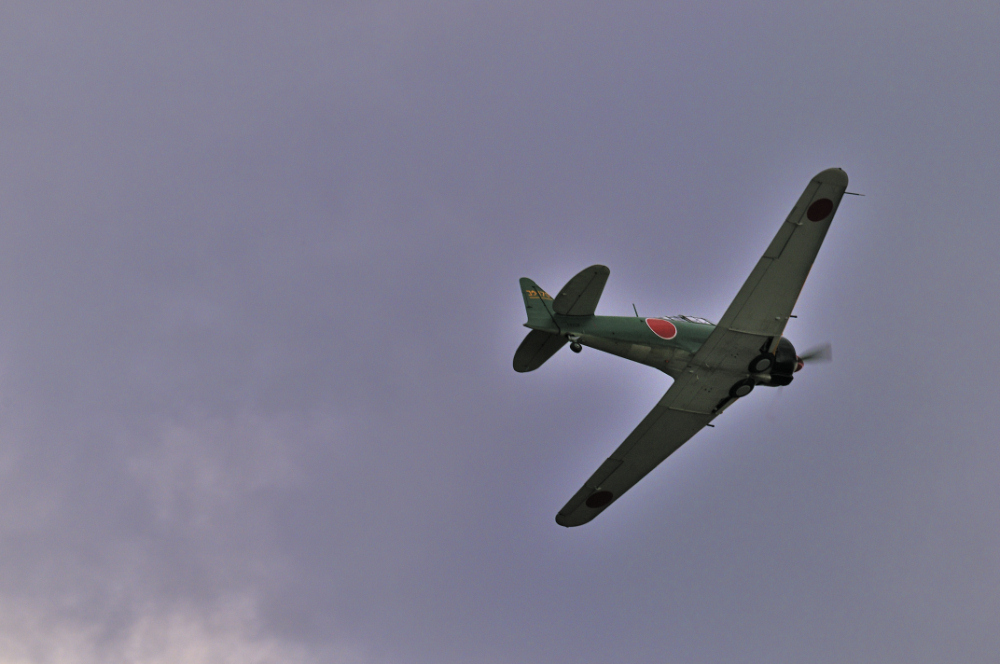 RENNES AIRSHOW 2010 - 4813