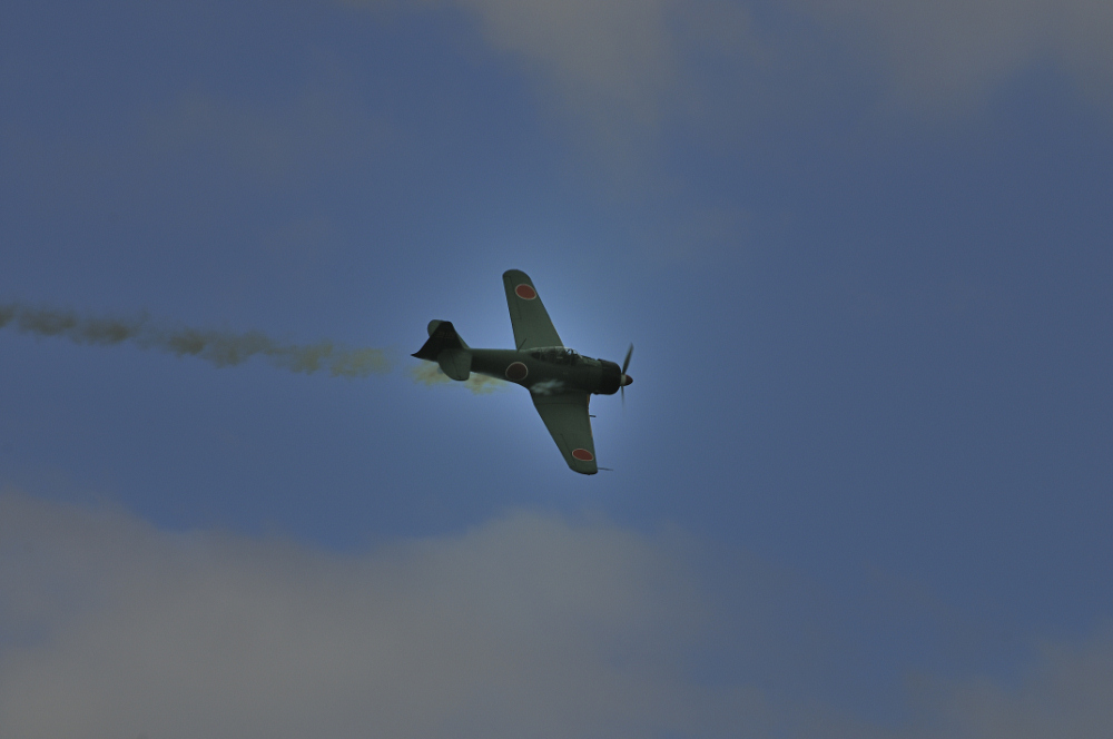 RENNES AIRSHOW 2010 - 4817