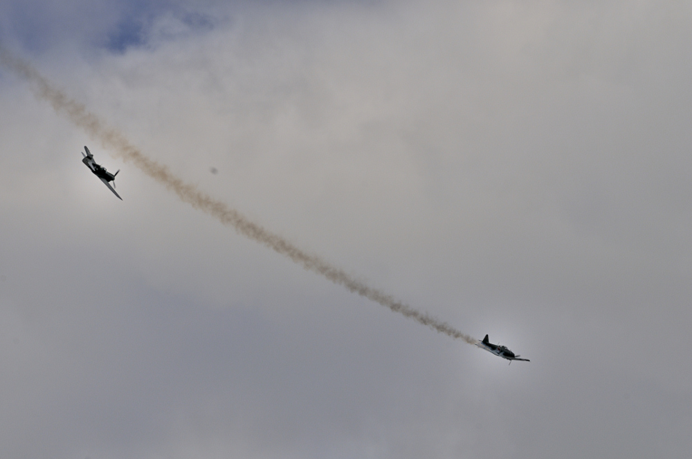 RENNES AIRSHOW 2010 - 4820