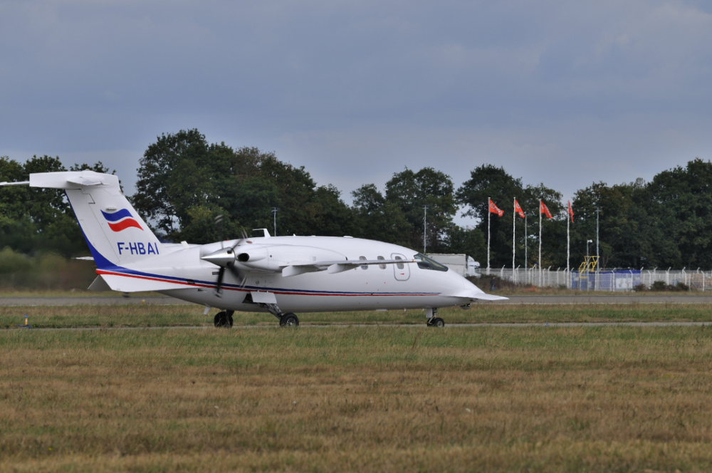 RENNES AIRSHOW 2010 - 4833