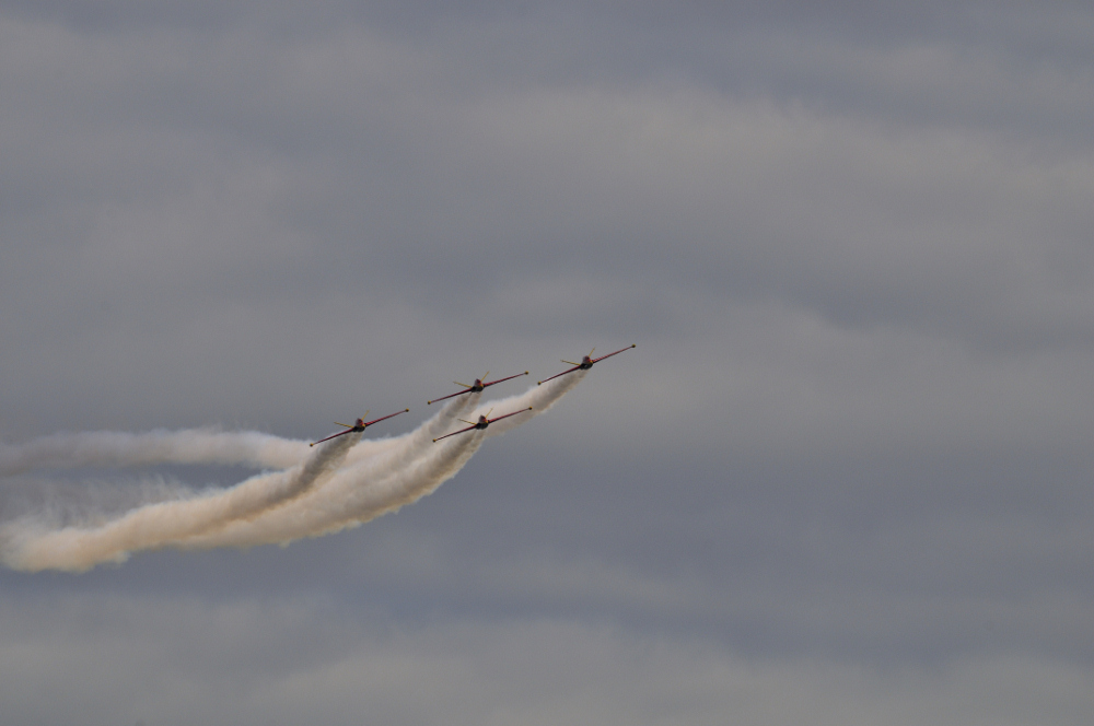RENNES AIRSHOW 2010 - 4941