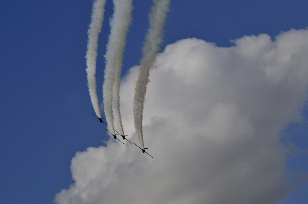 RENNES AIRSHOW 2010 - 4948