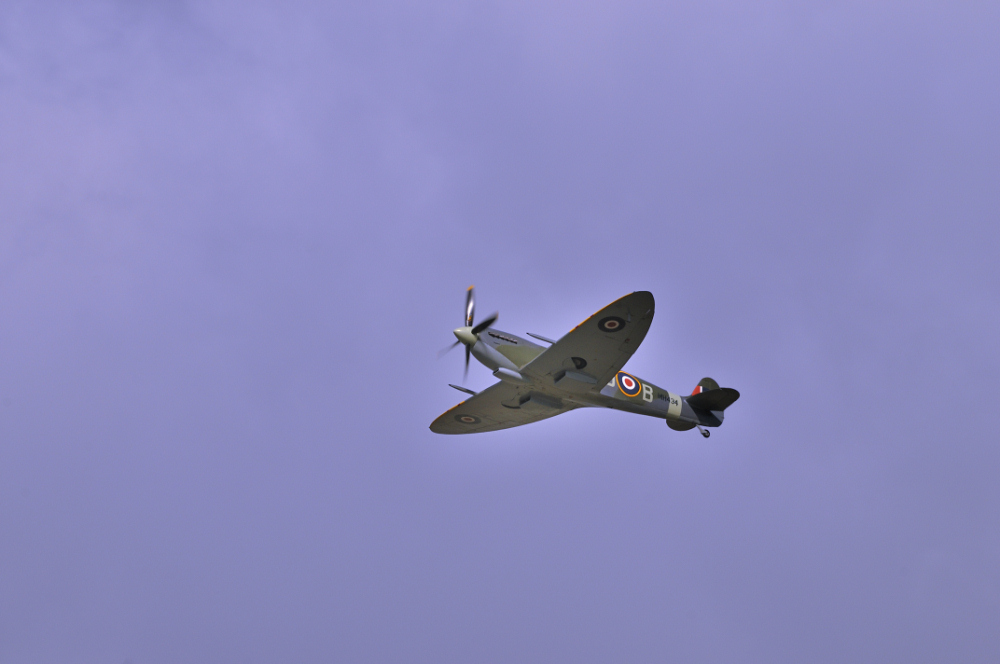 RENNES AIRSHOW 2010 - 5114