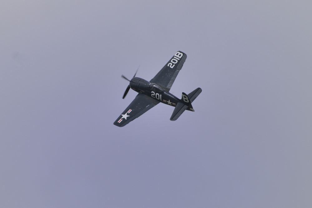 RENNES AIRSHOW 2010 - 5268