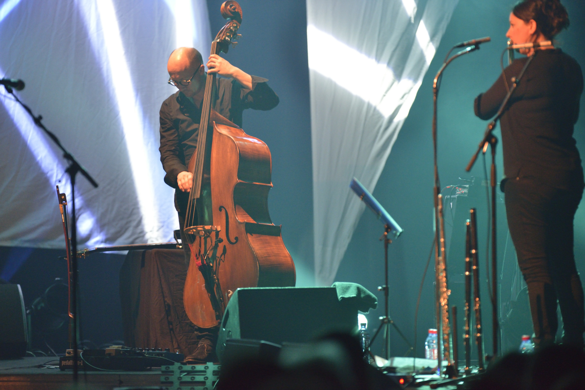 Alan Stivell - Décembre 2015 Salle du Ponant - Pacé- numéro 095