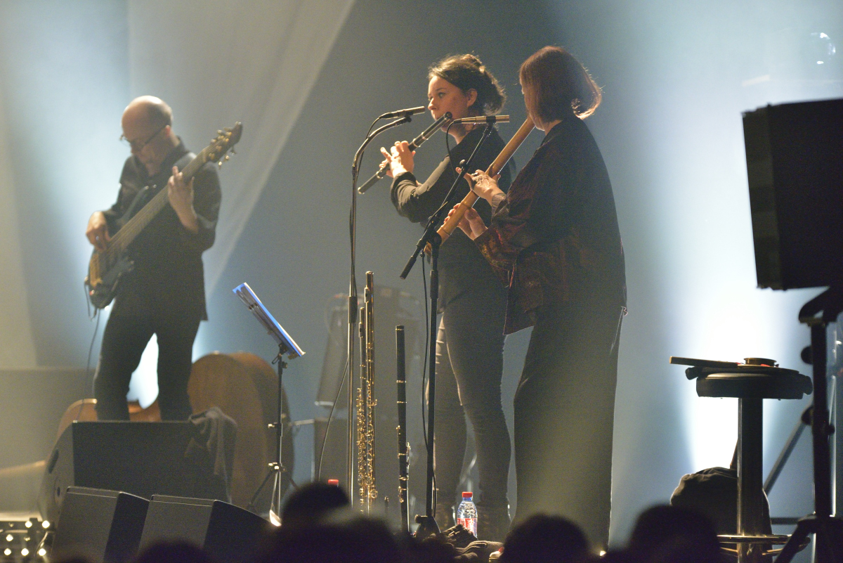 Alan Stivell - Décembre 2015 Salle du Ponant - Pacé- numéro 205
