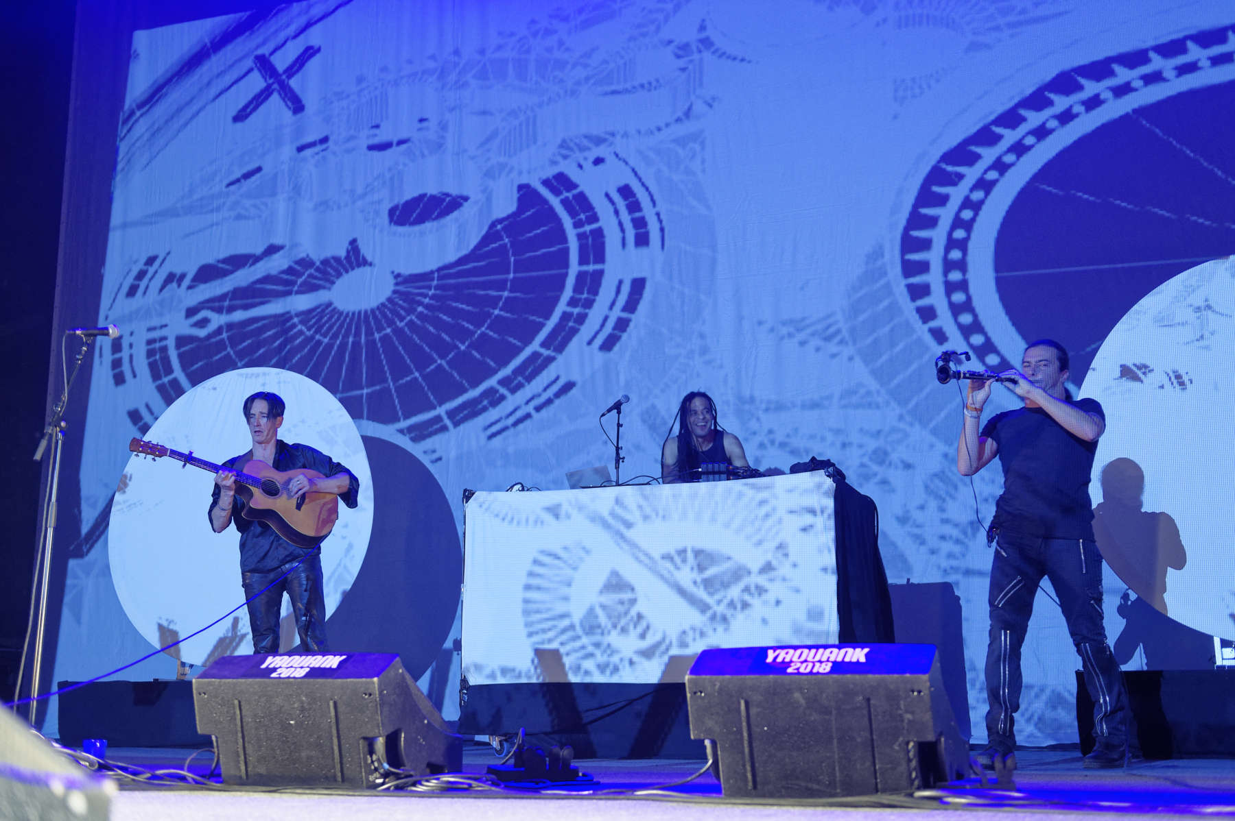 Yaouank-2018-PLANTEC-D418298