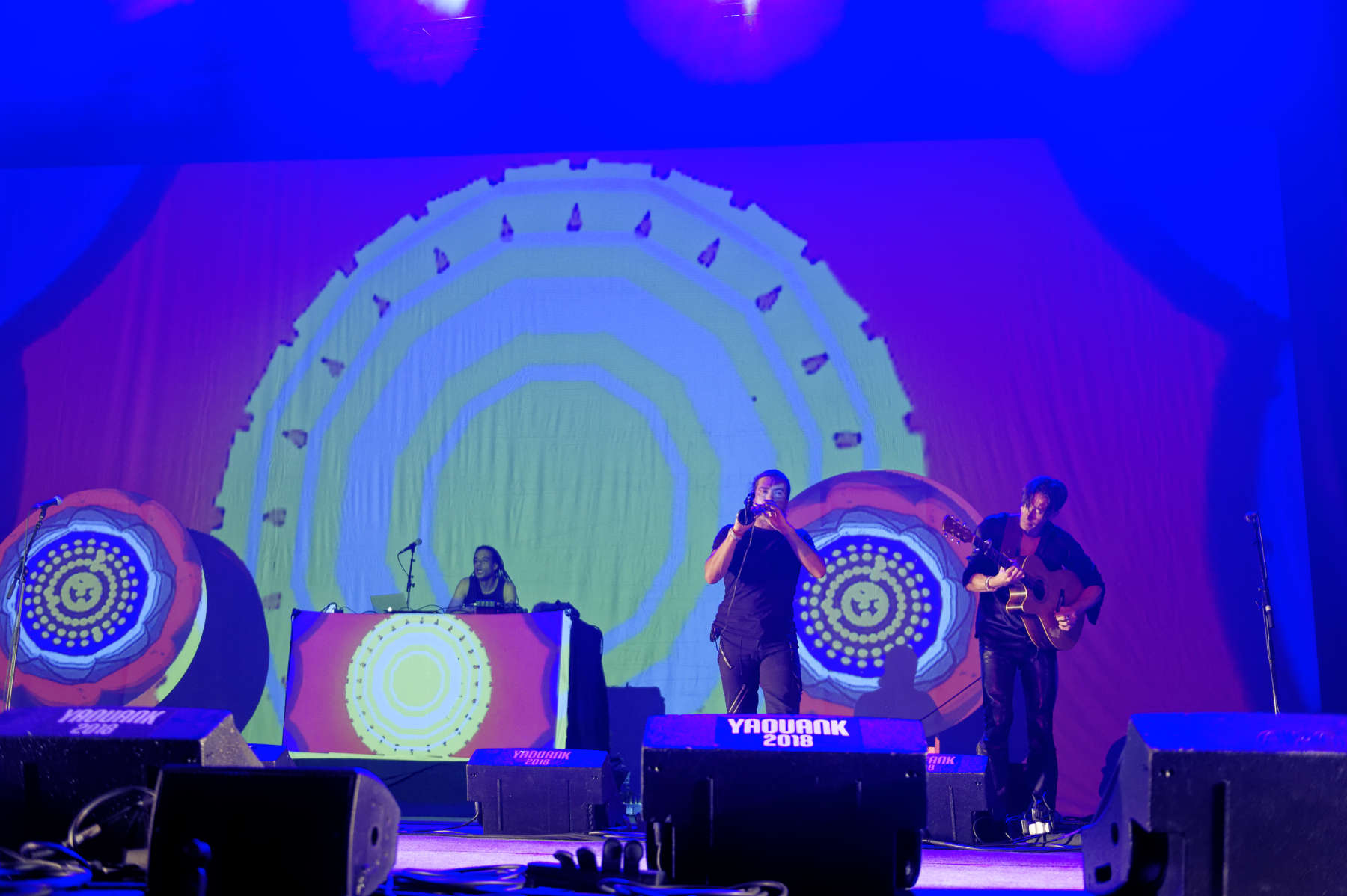 Yaouank-2018-PLANTEC-D418306